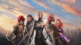 A bunch of characters in Divinity: Original Sin 2.