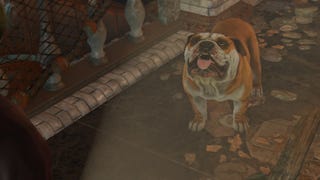 The player looks at dog companion, Churchill, in Fallout 4 mod, Fallout: London